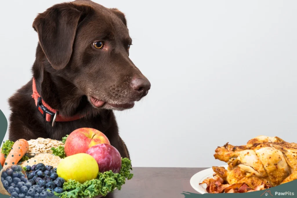 can dogs eat blueberries