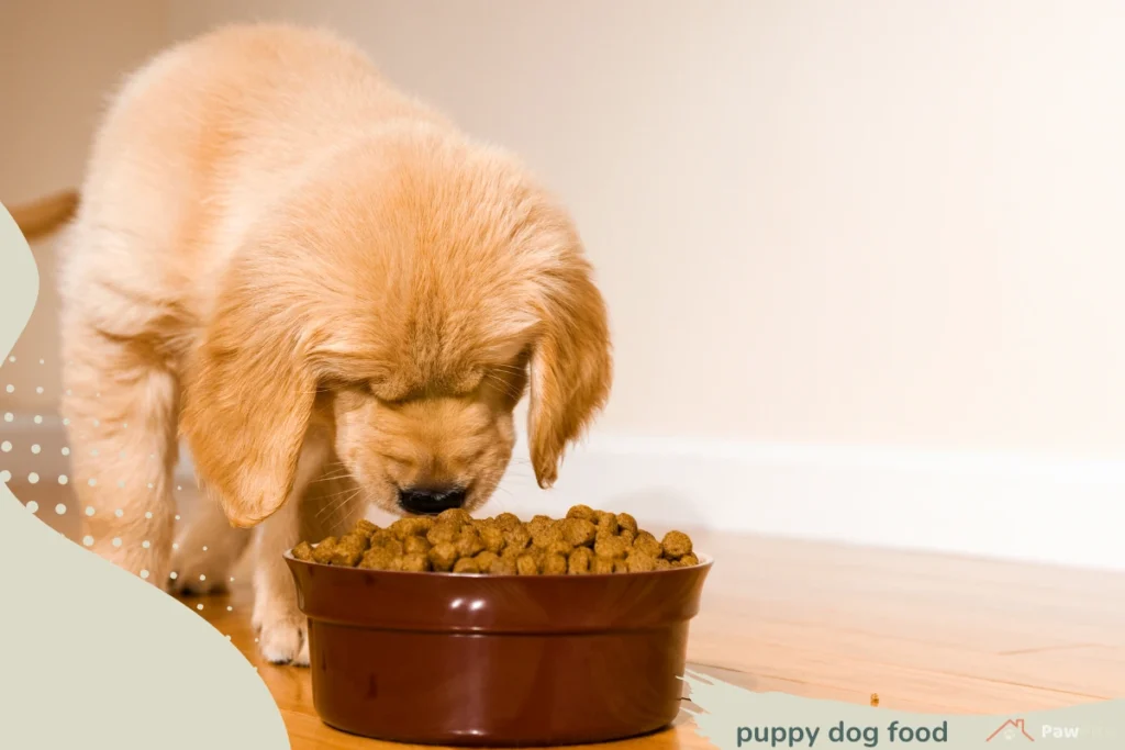 puppy food