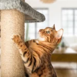 A modern flower cat tree with floral perches and scratching posts in a stylish living room.