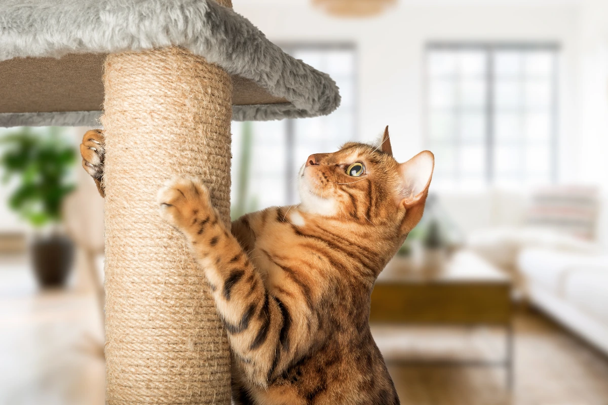 A modern flower cat tree with floral perches and scratching posts in a stylish living room.