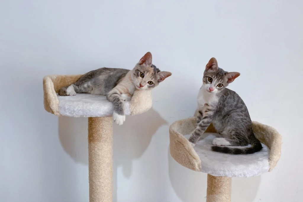 A playful kitten climbing a flower cat tree with soft pastel perches and scratching posts.