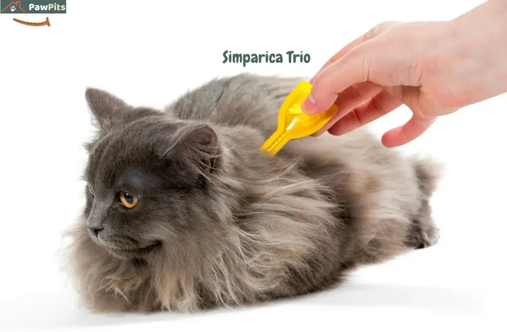 A split-screen comparison of Simparica Trio for cats and Revolution Plus, showing parasite protection icons and a cat owner deciding between the two with a veterinarian’s guidance.